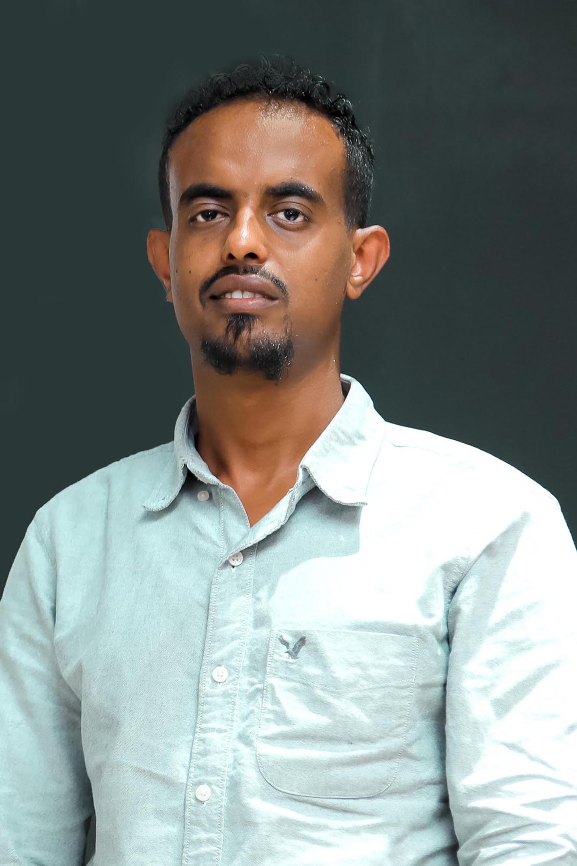 System Development Lead